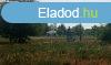 Elad 1363 nm-es Egyb Csem