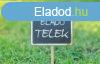 Elad 1200 nm-es Egyb Dabas