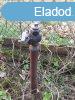 Elad 1200 nm-es Egyb Mikebuda