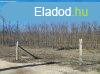 Elad 1000 nm-es Egyb Dabas
