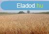 Elad 47000 nm-es Egyb Dabas