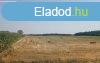 Elad 47000 nm-es Egyb Dabas