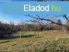 Elad ptsi telek Sukor