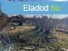 Elad Feljtand Zrtkert Vrpalota