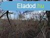 Ivnfahegyen panorms zrtkerti telek elad - Kaposvr