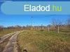 Elad belterleti telek csendes utcban Szakcson!