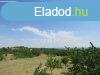 Elad telek Pkozd, 	Pkozdon