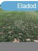 Elad fldterlet Balatonederics, 	71-es t alatt