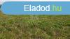 Elad ipari ingatlan Tapolca, 	Vastlloms kzelben
