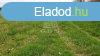 Elad ipari ingatlan Tapolca, 	Vastlloms mellett