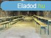 Elad vendglt Gyngys, 	Farkasmly Pincesor
