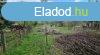 Elad telek Csobnka, 	Csobnka