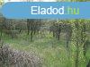 Elad fldterlet Kecskemt, 	54 sz. ft mentn