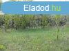 Elad fldterlet Kecskemt, 	54 sz. ft mentn