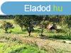 Elad telek Alsjlak, 	ALSJLAKON ELAD  3ha TERLET!!!
