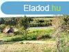 Elad telek Alsjlak, 	ALSJLAKON ELAD  3ha TERLET!!!
