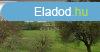 Elad ipari ingatlan Velence, 	Ipari terlet