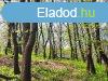 Elad telek rd, 	Parkvrosban