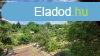 Elad telek Ft, 	Ft