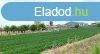 Elad ipari ingatlan Letenye, 	Ipari, mg-i tev-re alkalmas t