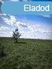 Elad fldterlet Csomd, 	2/A Bcsai lehajttl nem messze