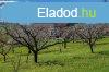 Elad fldterlet Edelny, 	Isten-hegy