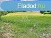 Elad telek Boncodflde, 	Boncodflde
