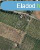 Elad fldterlet Solymr, 	Sirly utca