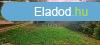 Elad telek Csobnka, 	Csobnka