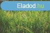 Elad telek Pzmnd, 	Pzmndon Szeles dlben