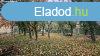Elad telek Disd, 	DISDLIGET