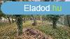 Elad telek Disd, 	DISDLIGET