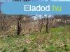 Elad fldterlet Srfimizd, 	Szlhegyi t