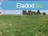 Elad telek Krmend, 	Tilalmas