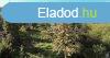 Elad telek rd, 	Fa neves utca