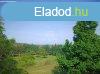 Elad telek Sukor, 	Madrcsicsergs, sszkzmves telek