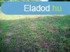 Elad telek Sukor, 	Madrcsicsergs, sszkzmves telek