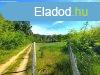 Elad telek Gdll, 	Kecsks dl