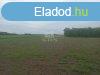 Elad fldterlet Budapest, XXIII. kerlet, 	MARSO cg mgt