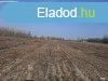 Elad 40000 nm-es Tanya Szatymaz Klterlet 