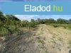 Elad 80 nm-es Feljtand Tanya Bordny