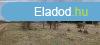 Napelem-park teleptsre alkalmas terlet elad Pakson!