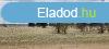 Napelem-park teleptsre alkalmas terlet elad Pakson!