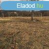 MADRHEGYI PANORMS TELEK ELAD