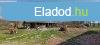 Mezgazdasgi terlet elad Madocsn!