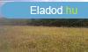 Elad 94 689m2-es Mezgazdasgi terlet, Salgtarjn
