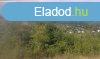 Elad 94 689m2-es Mezgazdasgi terlet, Salgtarjn