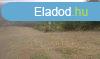 Elad 0ptsi telek, Salgtarjn