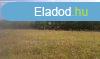 Elad 0ptsi telek, Salgtarjn
