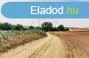 AKCIS RON! Tz hektros fldterlet elad Blcskn!